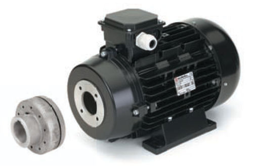 Asynchronmotor - 132 series  - Nicolini Motori - AC / dreiphasig / mit Hohlwelle