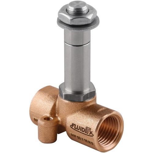 Direktgesteuertes Magnetventil - 01F - 2/2 NC - AIGNEP - 2-Wege / NC / Wasser