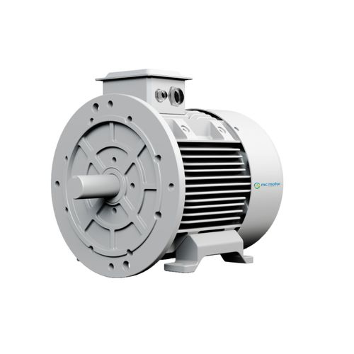 Bürstenloser Motor - SRPM210L8F22 - MC MOTOR TECHNOLOGY CO., LTD - AC / 400 V / IP55