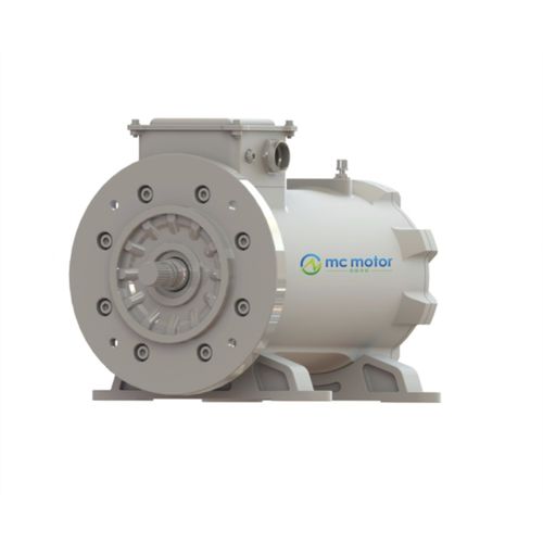 Synchronmotor - SRPM165H4XO75B - MC MOTOR TECHNOLOGY CO., LTD - AC / 380 V / ölgekühlt