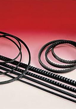 Verzahnter Treibriemen - max. 3 000 mm | TORQUE-FLEX - SIT S.p.A. - Gummi