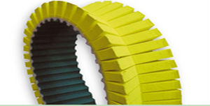 Zahnriemen - SIT S.p.A. - Edelstahl