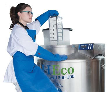 Laborgefrierschrank - MVE HEco™ series - CHARTINDUSTRIES - Edelstahl / Kryogen / Lagerung