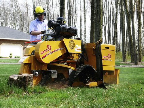 Baumstumpffräse mit Eigenantrieb - 35 hp (26 kW) | RG1635 Trac Jr - RAYCO