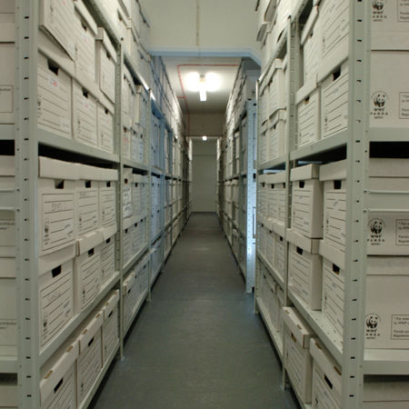 Büroregal - Apex Whittan - Fachboden / verstellbar / für Schachteln