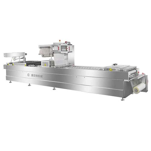 Rollen-Thermoformmaschine - DRZ420 - Shandong Kangbeite Food Packaging Machinery Co., Ltd. - für Verpackung / automatisch / automatisiert