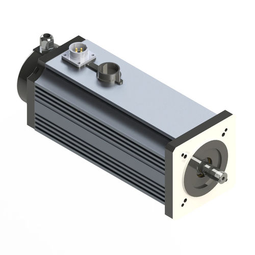 Bürstenloser Motor - M090-L - Electric Motor Power Pty Ltd - DC / Permanentmagnet / TENV