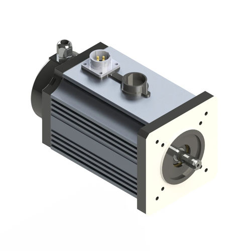 BLDC-Motor - M090-S - Electric Motor Power Pty Ltd - Gleichstrom / Permanentmagnet / TENV