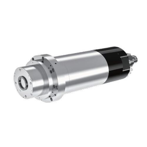 Spindel zur Endbearbeitung - DGZX-19018/20-BBT - Guangzhou Haozhi Industrial Co., Ltd - Fräs / motorisiert / BT 40