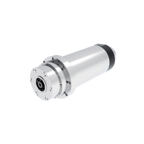 Bearbeitungsspindel - DGZYX-21012 - Guangzhou Haozhi Industrial Co., Ltd - Fräs / Dreh / motorisiert
