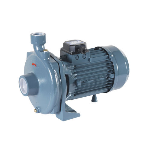 Impellerpumpe - STM / ST - Conforto - Wasser / Motor / selbstansaugend