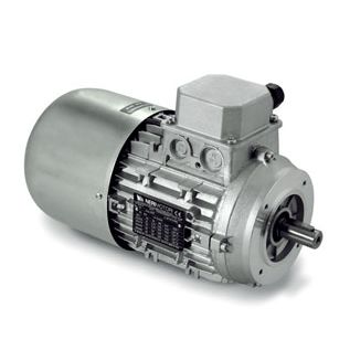 Induktionsmotor - AT series - Neri Motori - dreiphasig / 400 V / 380 V