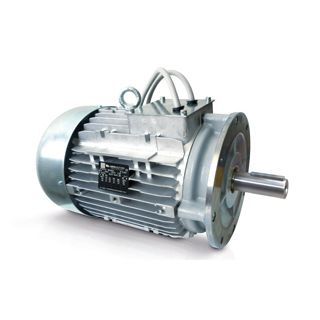 Motor für Rührgerät - Neri Motori - Asynchron / dreiphasig / 400 V