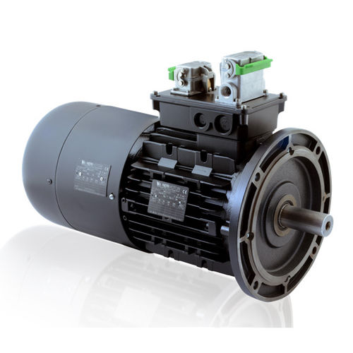 Motor für Windkraftanlage - Neri Motori - Asynchron / dreiphasig / 690 V