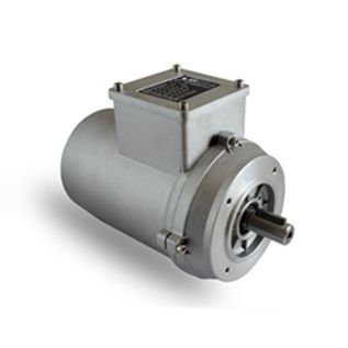 Induktionsmotor - T series  - Neri Motori - dreiphasig / 400 V / korrosionsbeständig