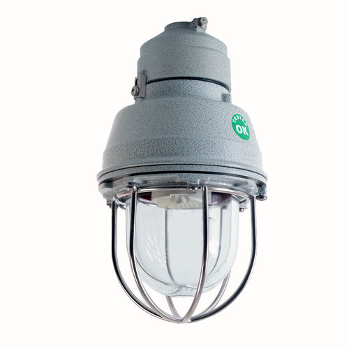 LED-Lampe - EVA series - CORTEM - für Industrieanwendungen / IP66 / Borosilikatglas
