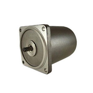 Induktionsmotor - 80 series - Zhejiang Dongzheng Motor Co., Ltd. - AC / 220 V / 110 V