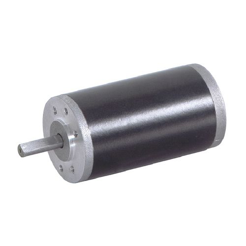 Bürstenbehafteter Motor - 52ZY95 - Zhejiang Dongzheng Motor Co., Ltd. - DC / 24 V / 12 V