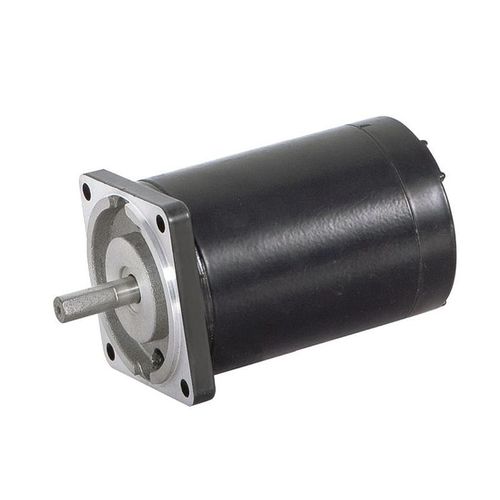 Bürstenbehafteter Motor - 60ZY95 - Zhejiang Dongzheng Motor Co., Ltd. - DC / 24 V / 12 V