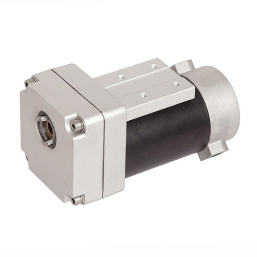 IP55-Getriebemotor - 80ZY140-98JB12.308 - Zhejiang Dongzheng Motor Co., Ltd. - DC / Permanentmagnet / Stirnrad