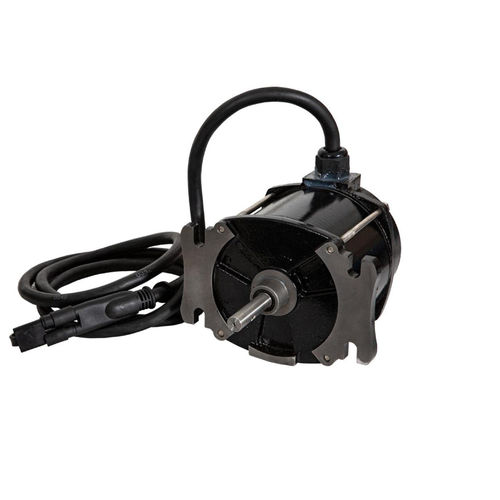 DC-Motor - 9031202 - Zhejiang Dongzheng Motor Co., Ltd. - 12 V / IP67 / Permanentmagnet