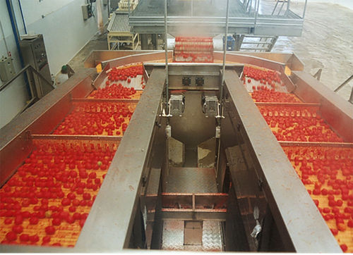 Tomate-Schälmaschine - Agromeccanica srl - Edelkastanien
