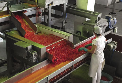 Rollenförderer - Agromeccanica srl - Entleerung / für Obst / für Tomaten