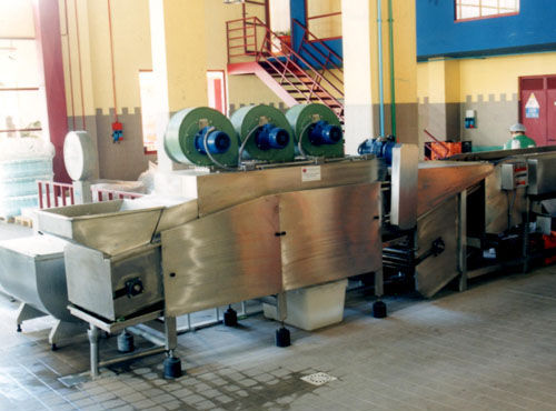 Waschanlage für Zitrusfrüchte - Agromeccanica srl