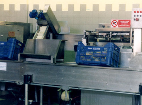 Zitrusfrüchte-Schälmaschine - Agromeccanica srl