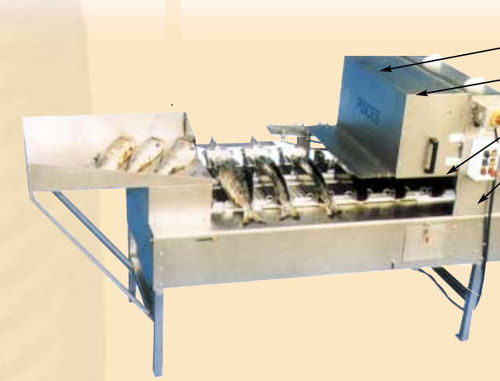 Schlacht- und Zerlegemaschine / für Fisch - HV 40 - Pisces Fish Machinery Inc.