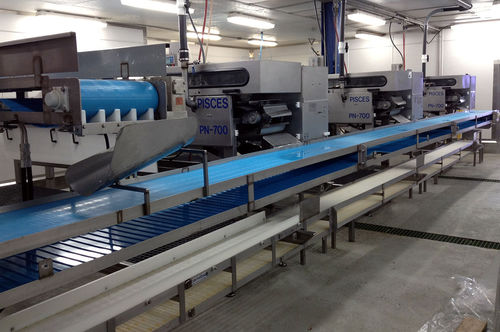 Schlacht- und Zerlegeanlage / für Seehecht - PN-700 - Pisces Fish Machinery Inc.