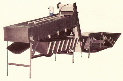 Krabben-Kalibrieranlage - PG Series - Pisces Fish Machinery Inc. - Rollen