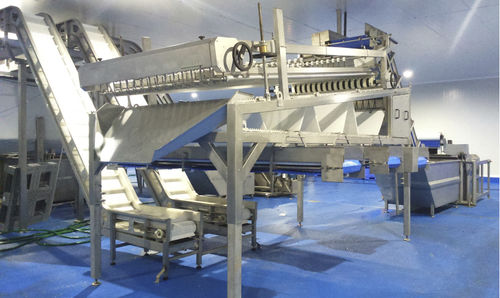 Sortiermaschine für die Lebensmittelindustrie - Gaictech - automatisch / für Lebensmittel / kontinuierlich