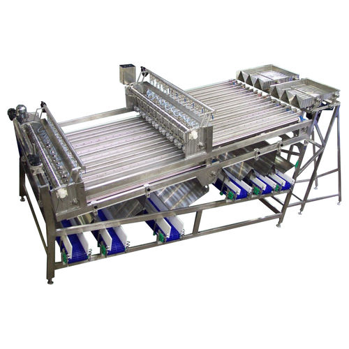 Kalibrieranlage für Fisch - KM Fish - Band / Rollen / Vibration