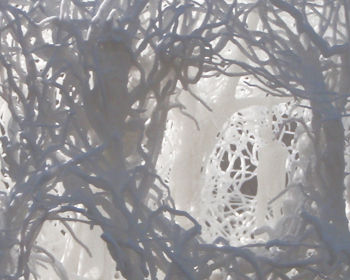3D-Druck / Polyamid - SLS ® HD - INITIAL - SLS / Prototyping