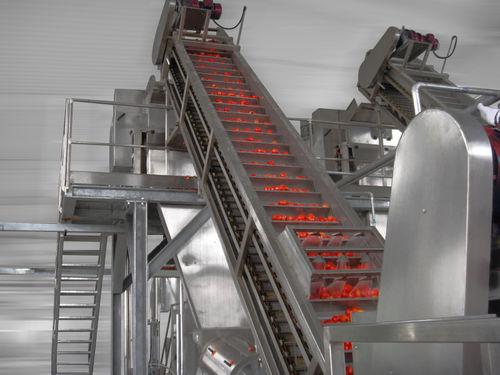 Gemüseverarbeitungslinie für Tomaten - Alimenta Industries S.r.l. - Polier / zum Sortieren / Wasch