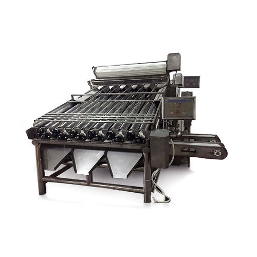 Krabben-Kalibrieranlage - ZD-XL 12B / 18B - Shrimp Machine - Trommel / Rollen / Band
