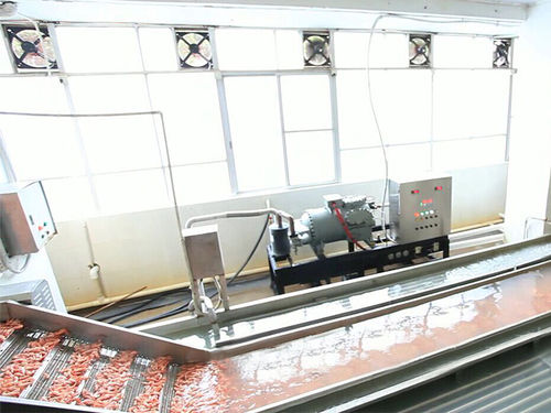 Wasserkühlsystem - ZD-XL 6000 - Shrimp Machine - Krabben / Edelstahl / mit Bandförderer