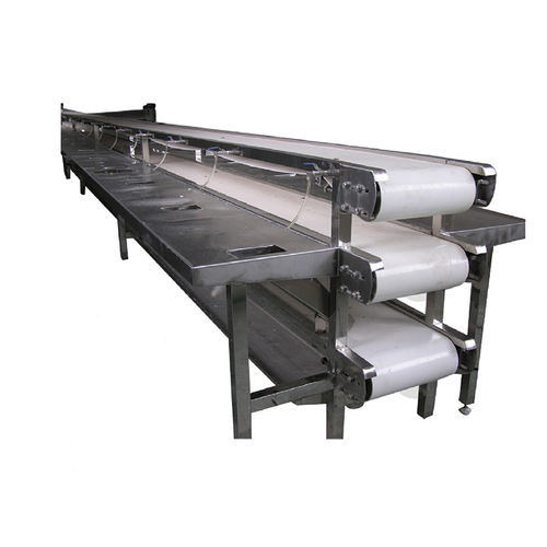 Filetiermaschine für Fisch - ZD-YL 9000 - Shrimp Machine - Edelstahl / zum Zuschneiden