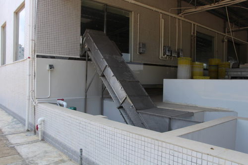 Bandförderer - ZD-YL 3500 - Shrimp Machine - Gewebeband / Hub / für Fisch
