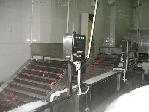 Vereismaschine für Fische / Krabben - ZD-XL 10-40  - Shrimp Machine - zum Tauchen