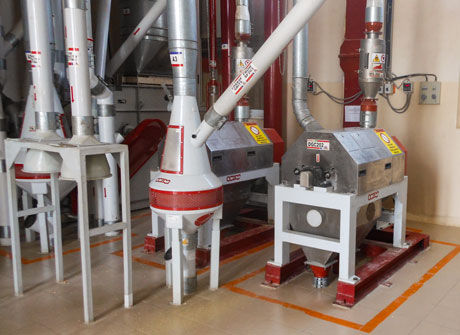 Getreide-Produktionsanlage - OCRIM - für die Lebensmittelindustrie