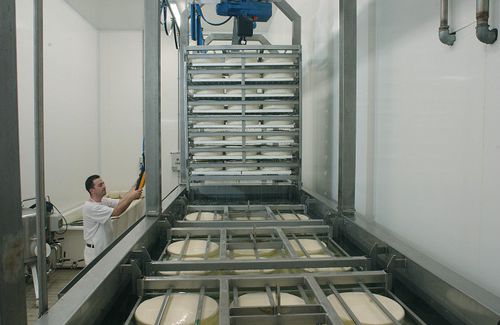Dynamischer Käsesalzbadanlage - PRIAMO FOOD TECHNOLOGIES