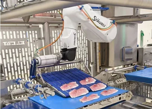 Knickarmroboter - ELCAT FOOD TECHNOLOGY - Pick-and-Place / zum Laden / zum Füllen