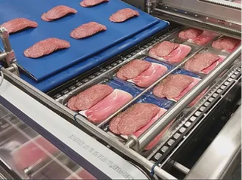 Horizontaler Traypacker - ELCAT FOOD TECHNOLOGY - automatisch / für Käse / für Fleisch