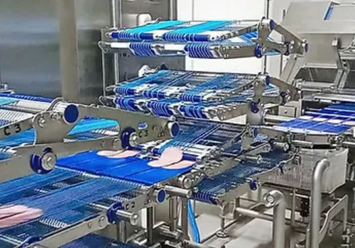 Überlapp-Verpackungsmaschine - ELCAT FOOD TECHNOLOGY - automatisch / kontinuierlich / für Lebensmittel