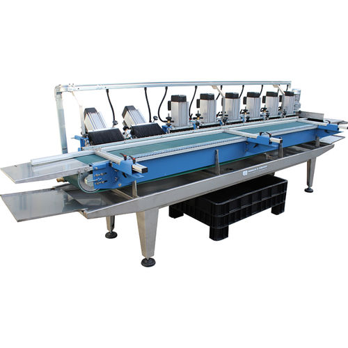 Profiliermaschine für Profile - MPM/8 - Ferrari & Cigarini srl - für emaillierte Fliesen / automatisch / PLC-gesteuert