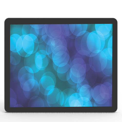 Panel-PC / TFT LCD - DS120E - Shenzhen ZhengYuanTai Technology,Co,.Ltd. - mit LED-Rückbeleuchtung / mit kapazitivem PCAP-Touchscreen / 12,1"