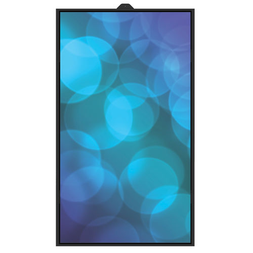 Display / TFT LCD - DS650HB - Shenzhen ZhengYuanTai Technology,Co,.Ltd. - 1920 x 1080 / 65" / HDMI