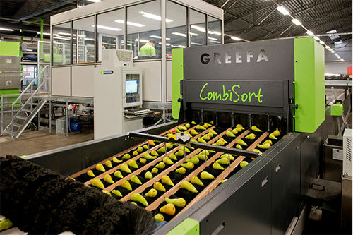 Sortiermaschine für die Lebensmittelindustrie - COMBISORT - Greefa - automatisch / für Obst / für Gemüse